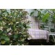 Lavender & Lemon Welsh Tapestry blanket TBV54